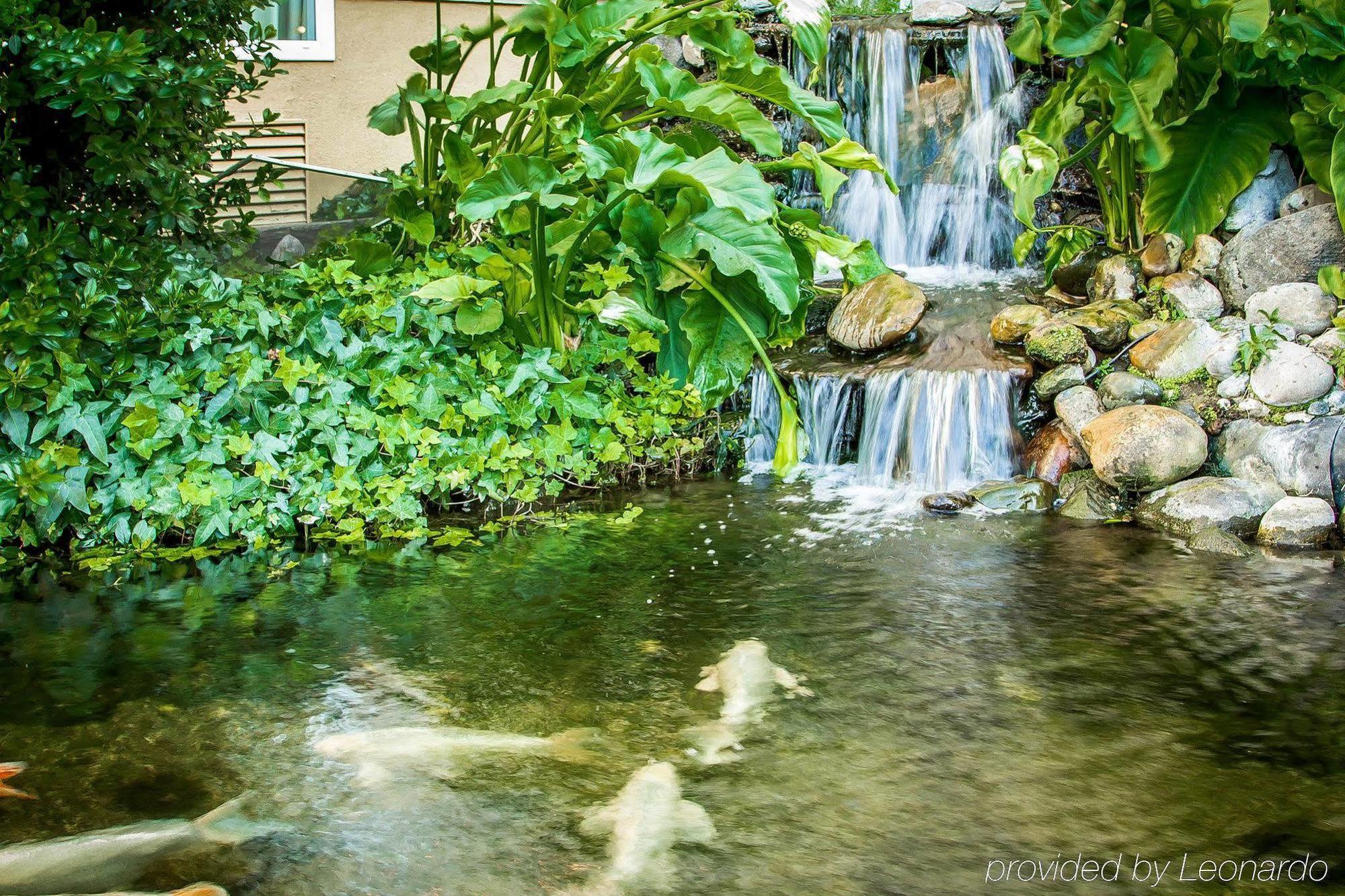 Comfort Inn Modesto Exterior photo